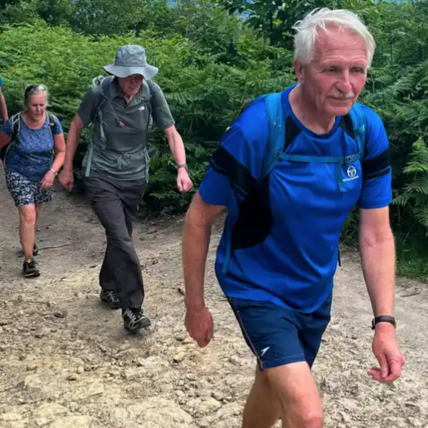 Talking Walking